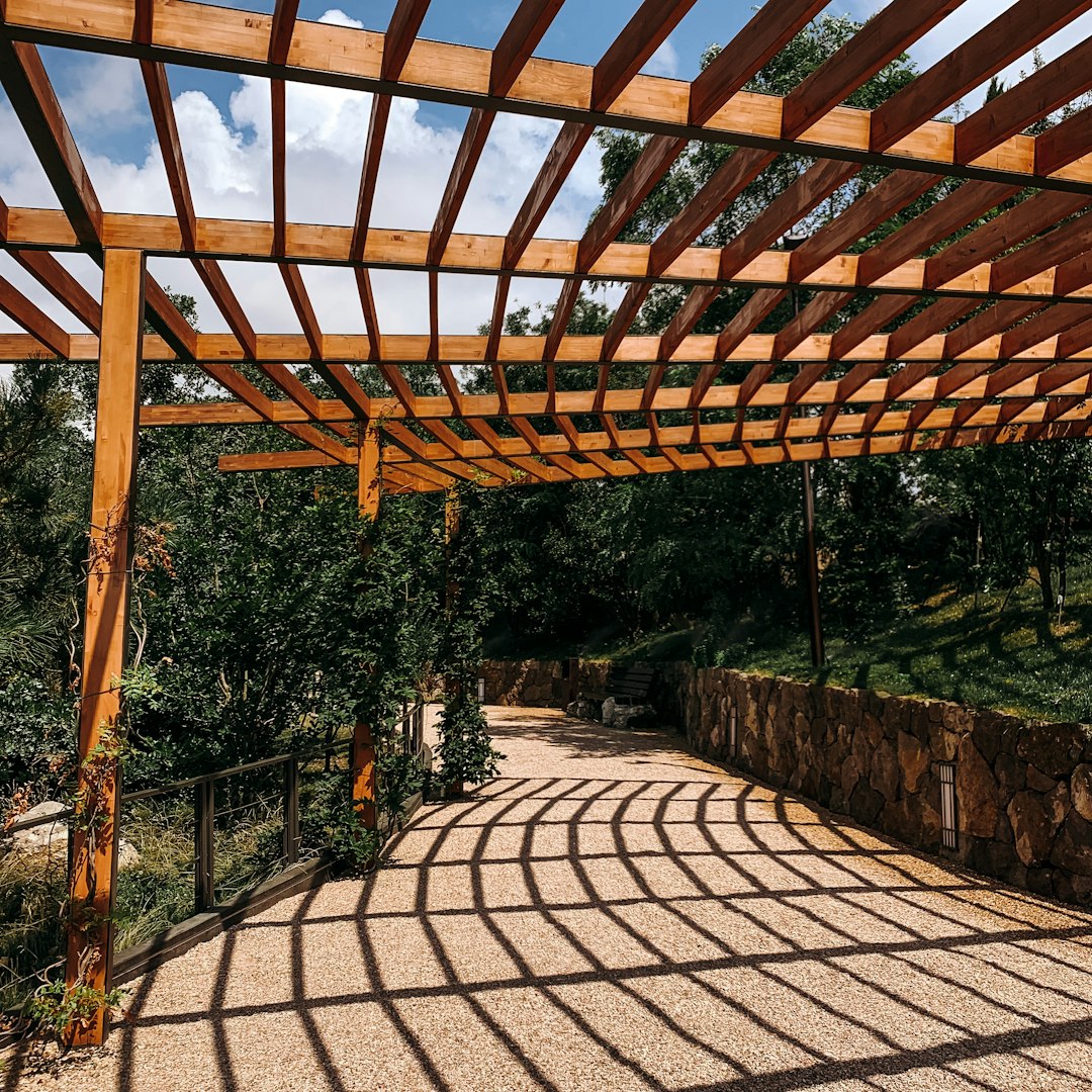 Pergola contemporaine en bois