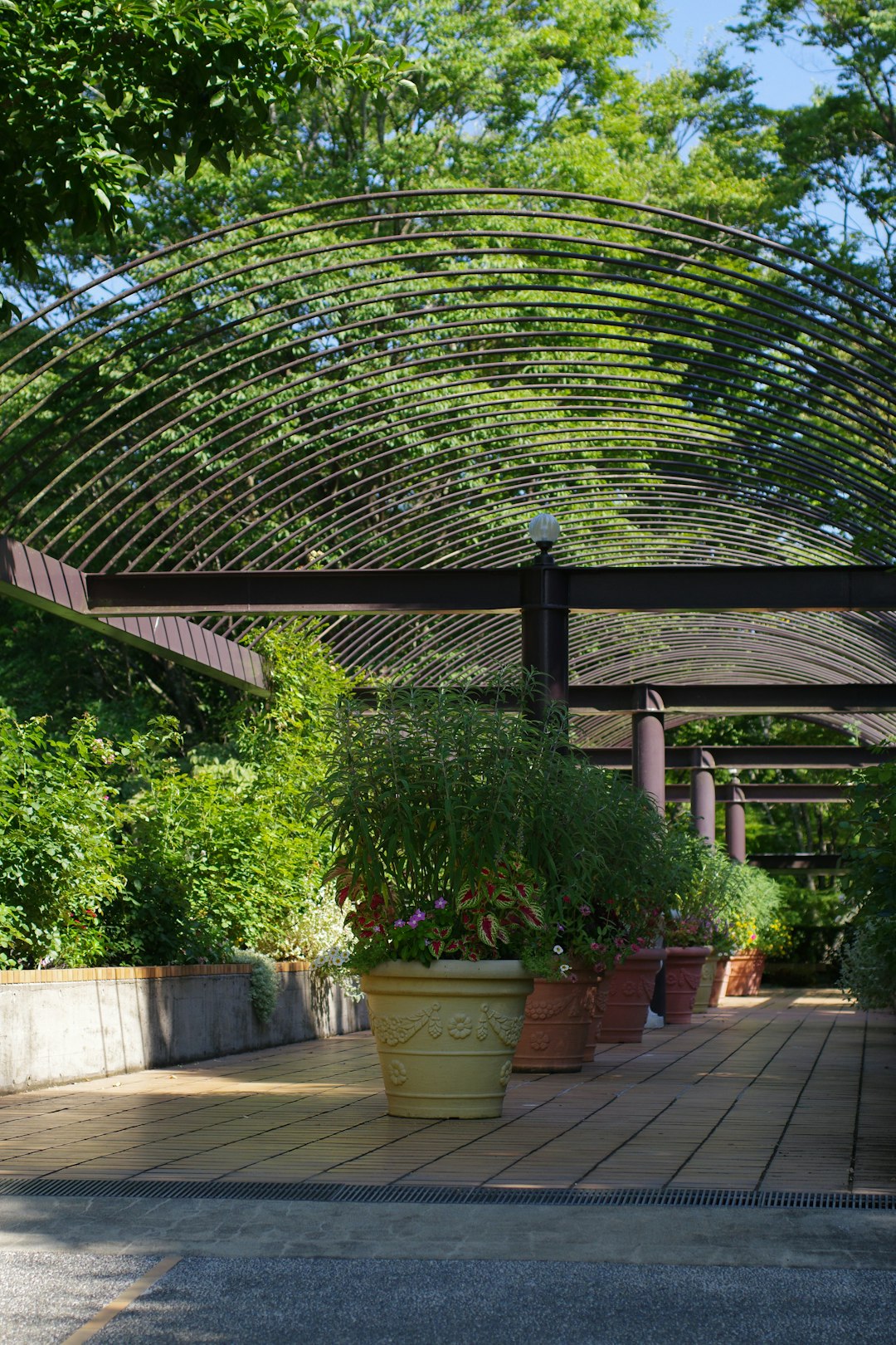 Patio extérieur avec pergola ombragée